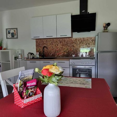 Apartmaji Ribic Ljubno Zewnętrze zdjęcie