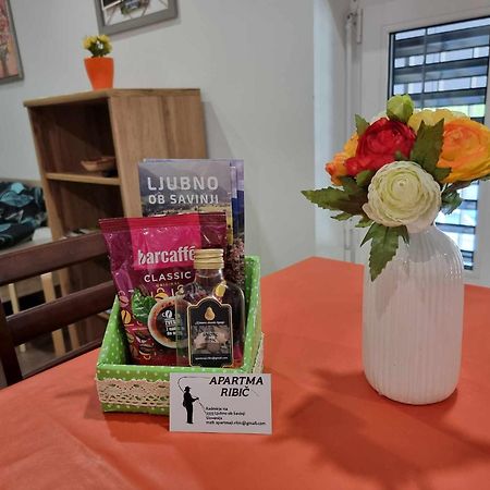 Apartmaji Ribic Ljubno Zewnętrze zdjęcie