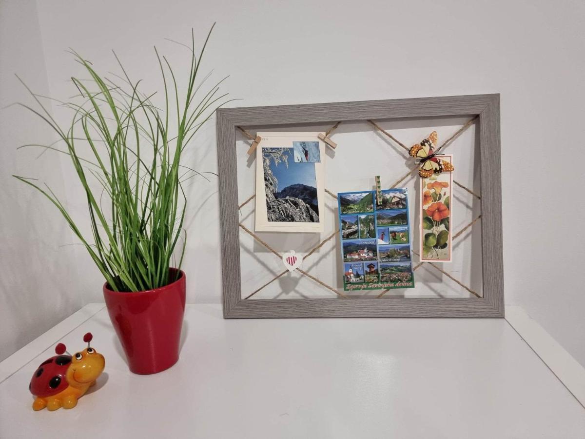 Apartmaji Ribic Ljubno Zewnętrze zdjęcie