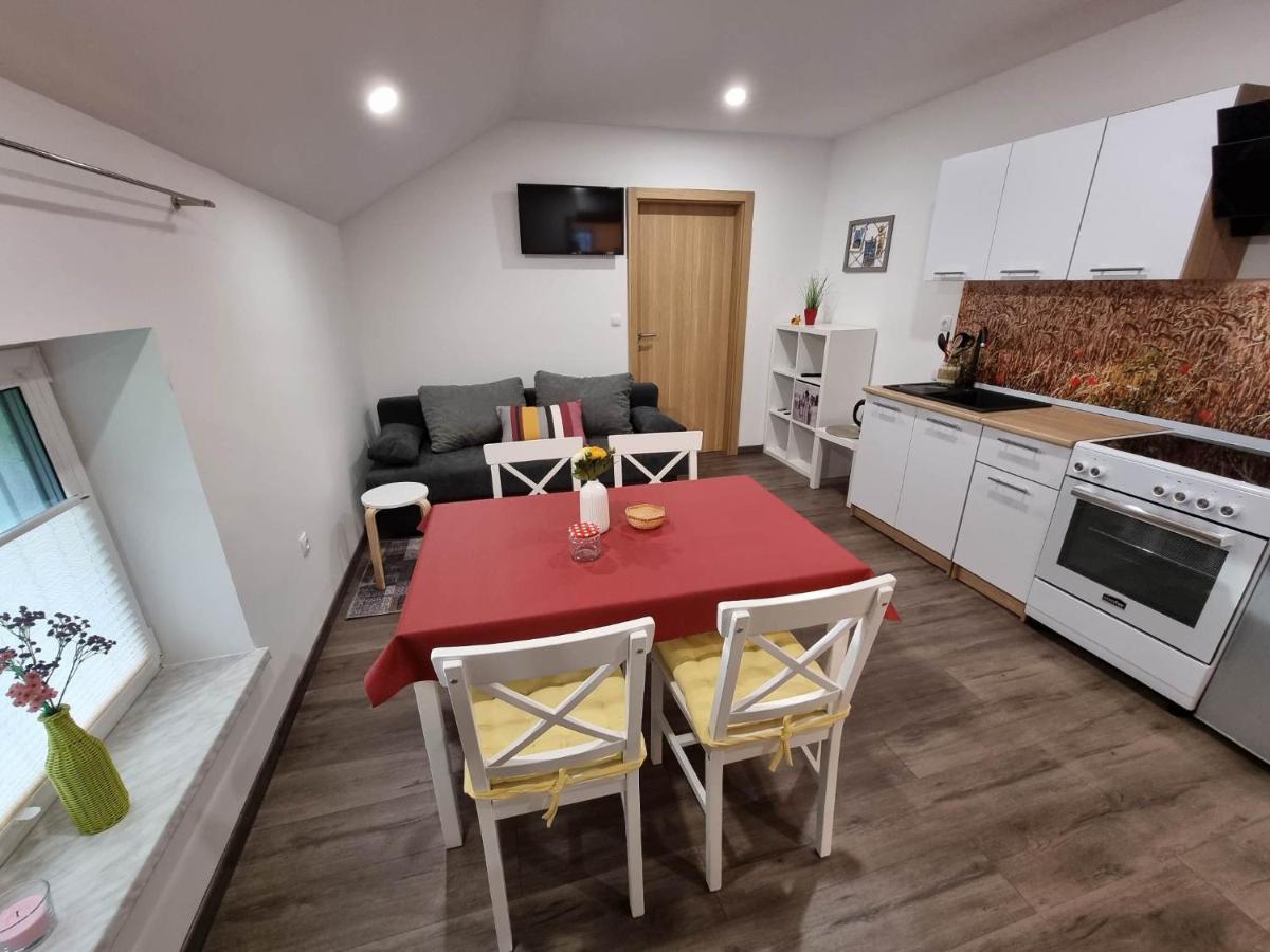 Apartmaji Ribic Ljubno Zewnętrze zdjęcie