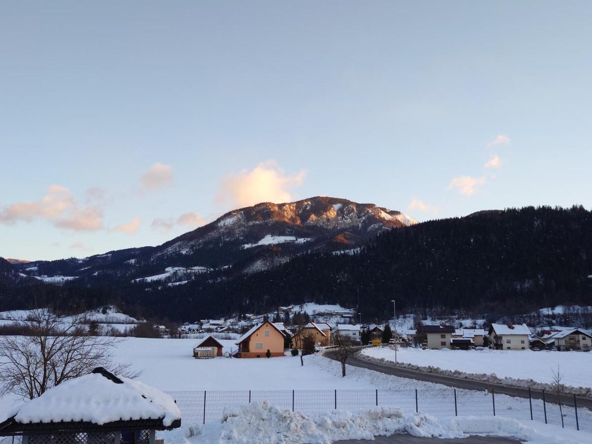 Apartmaji Ribic Ljubno Zewnętrze zdjęcie