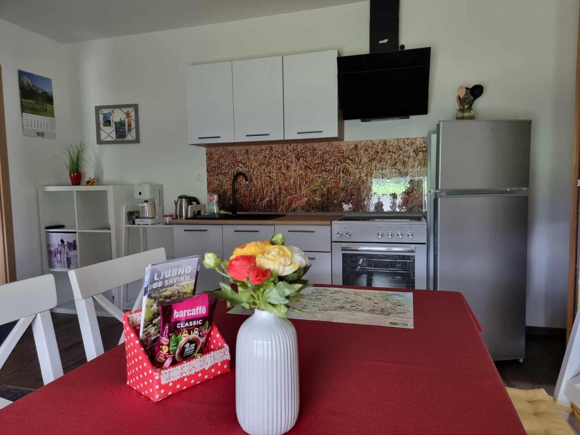 Apartmaji Ribic Ljubno Zewnętrze zdjęcie