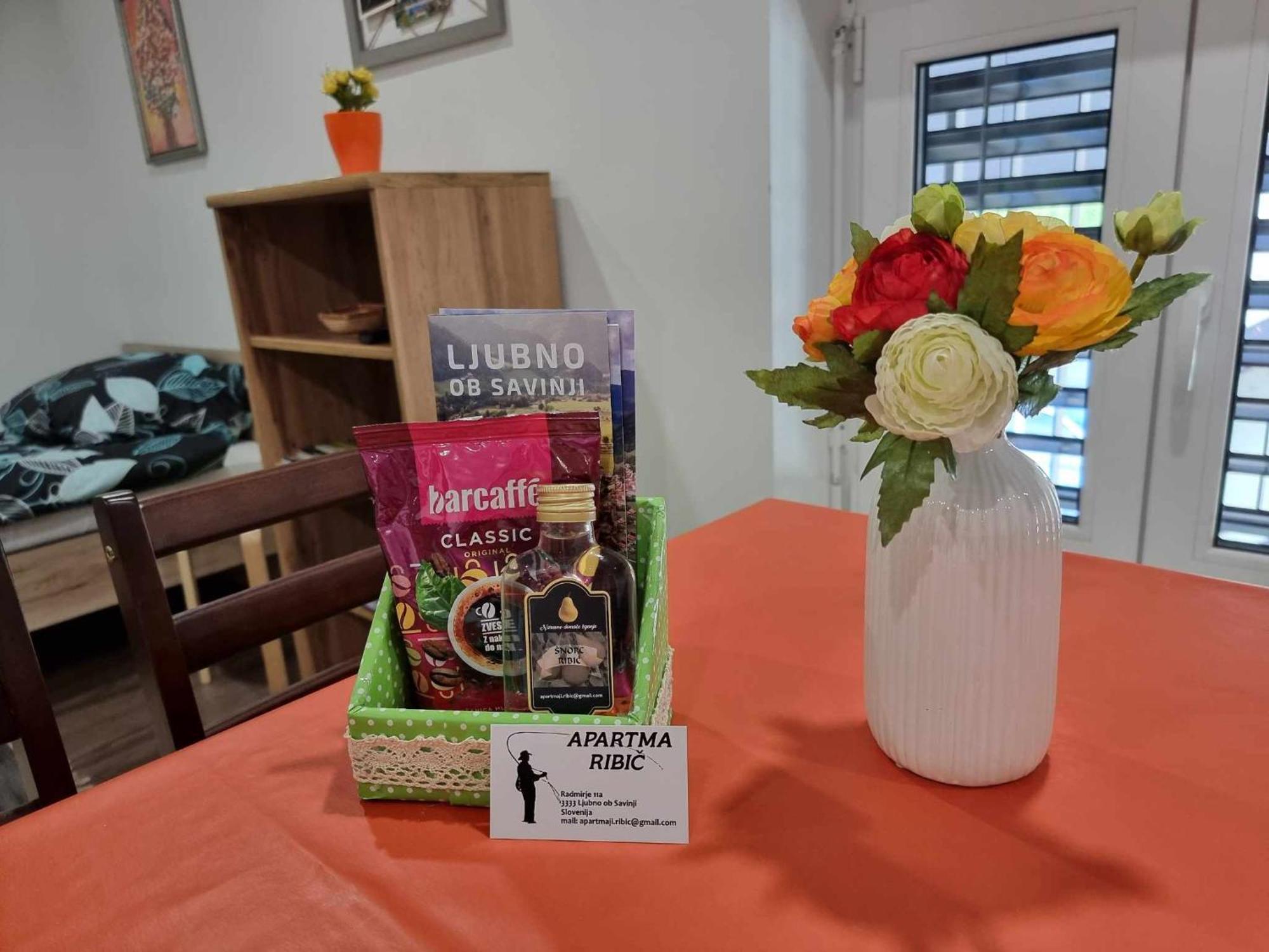 Apartmaji Ribic Ljubno Zewnętrze zdjęcie